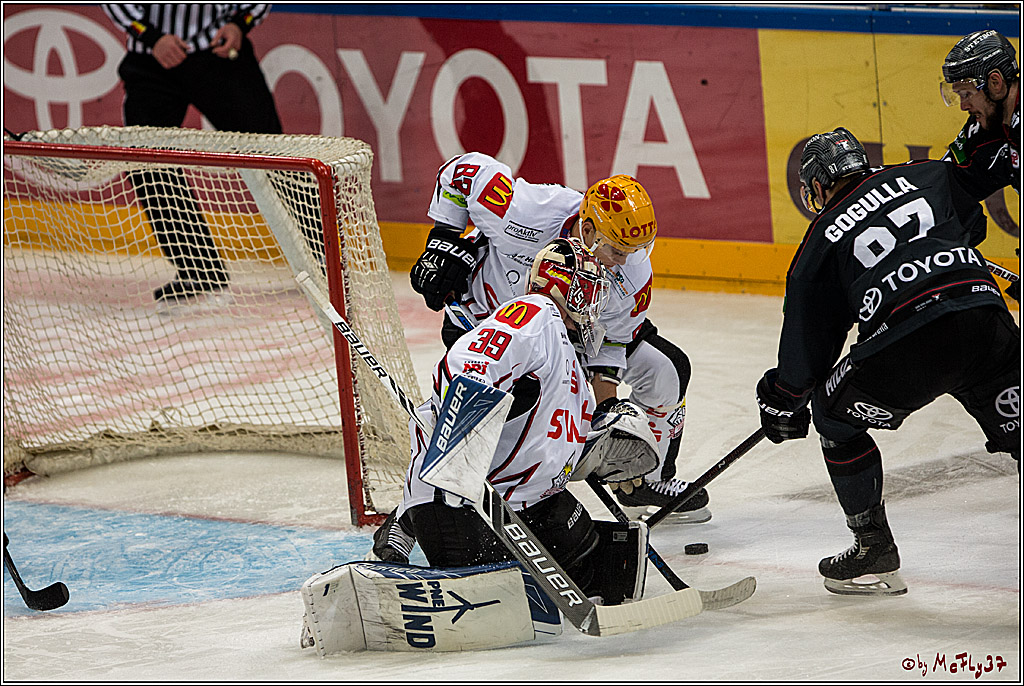 Koelner Haie - Pinguins Bremerhaven, 25.10.2016